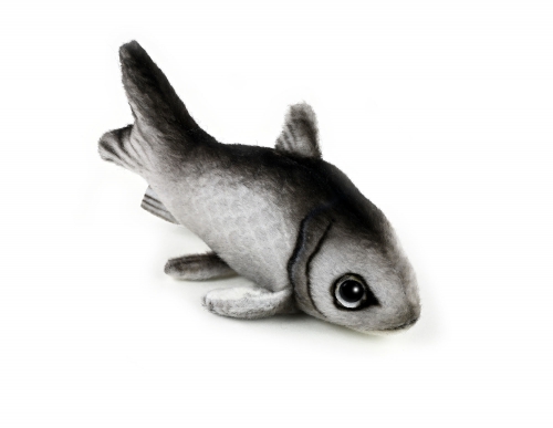 Preview: kleiner Hering (Sprotte) ca. 12 cm